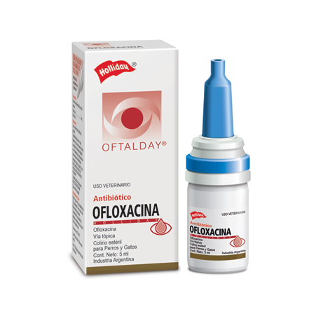 Holliday Ofloxacina
